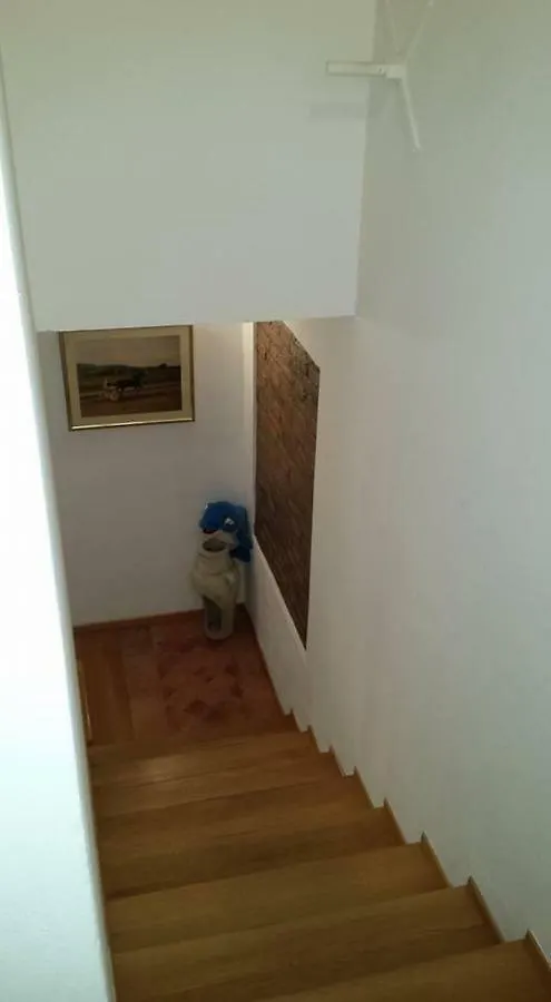 Il Delfino A Bologna Bed & Breakfast
